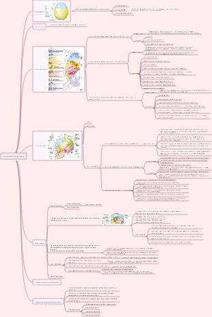 visione olistica del cranio