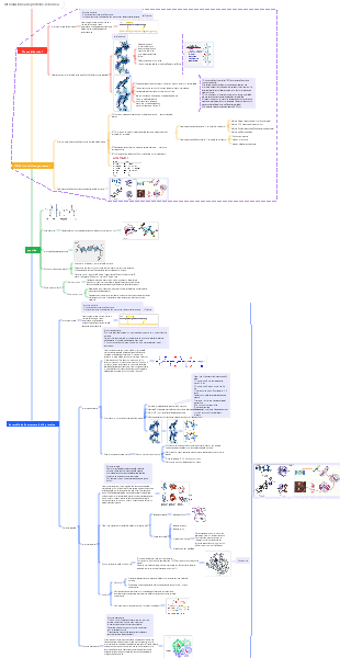 Introduzione alle proteine, lezione 2