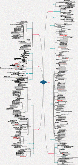 Pratica del commercio internazionale