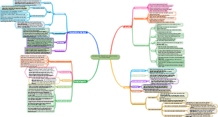Contenuti dell'educazione scientifica per la prima infanzia