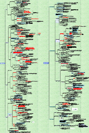 Mappa mentale riassuntiva fisiologia-sangue