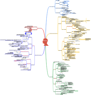 circolazione sanguigna