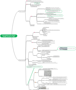 Tessuto epiteliale, tessuto connettivo, cartilagine, tessuto osseo, sangue