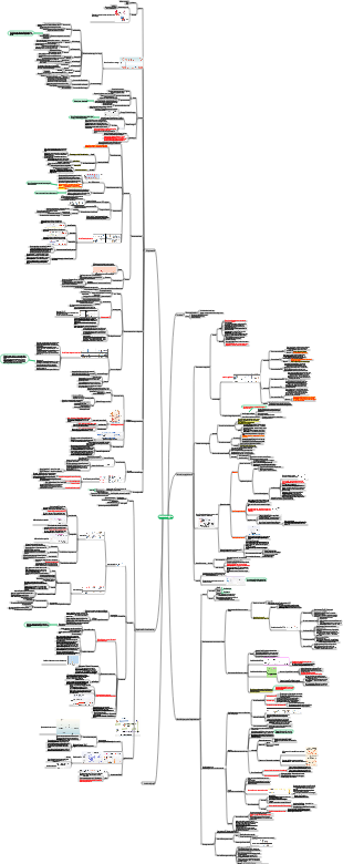 circolazione sanguigna