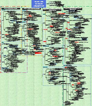 Patologia - disturbo della circolazione sanguigna locale