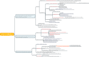 Circolazione sanguigna (2)