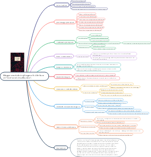 Mappa mentale degli appunti di lettura di Cent'anni di solitudine.