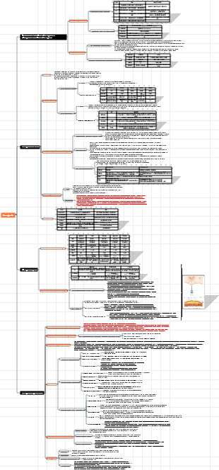 anestesia chirurgica