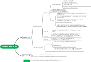 Neurobiologia-recettori della colina