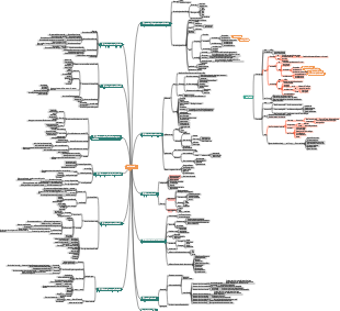 Mappa mentale medicina-stomatologia