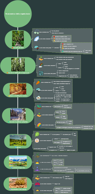Mappa mentale panoramica della vegetazione