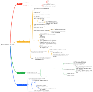 Mappa mentale della struttura morfologica dei funghi
