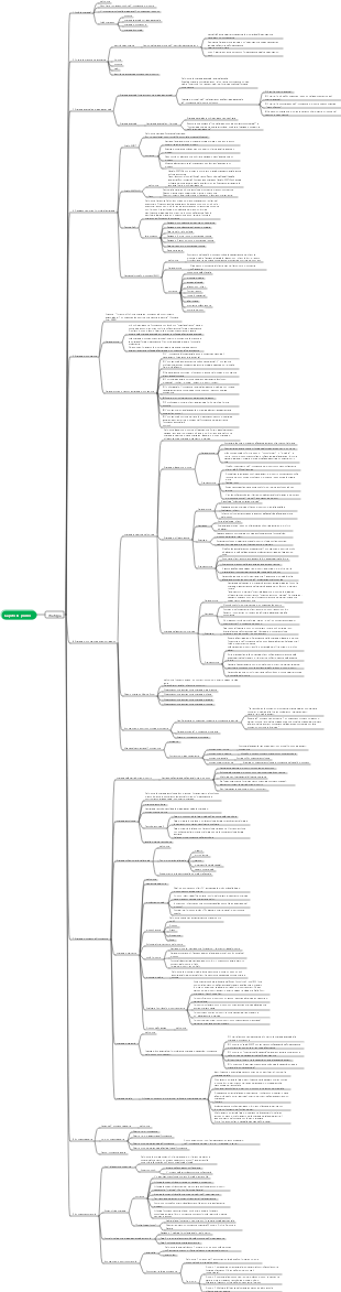 mappa mentale strategica