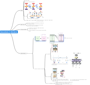 meccanismo di attenzione