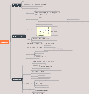 Mappa mentale della Rickettsia