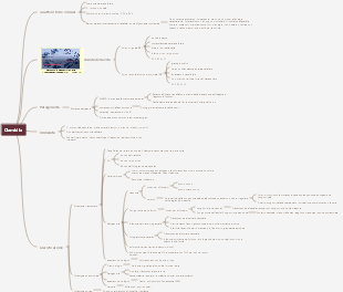 Mappa mentale della clamidia