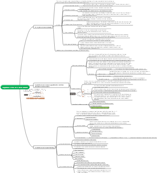 Capitolo 5 Mappa mentale del processo decisionale