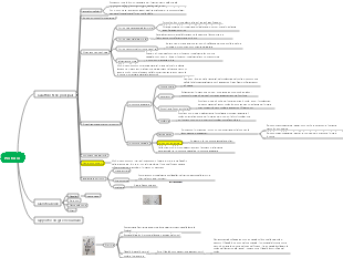 Mappa mentale dei protozoi