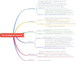 2-5 Altri microrganismi procarioti