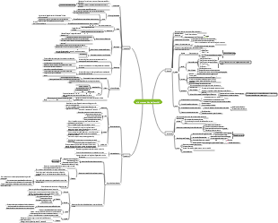 Psicologia-Sviluppo cognitivo dei bambini