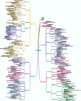 Appunti di lettura Pensa bene.