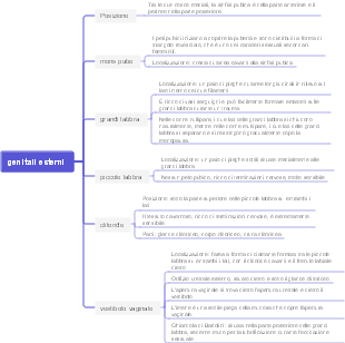 Mappa mentale di ostetricia e ginecologia