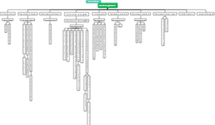 Diagramma organizzativo