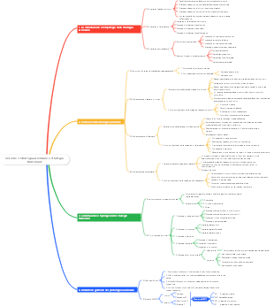 Sezione 3 Strategia aziendale e strategia funzionale