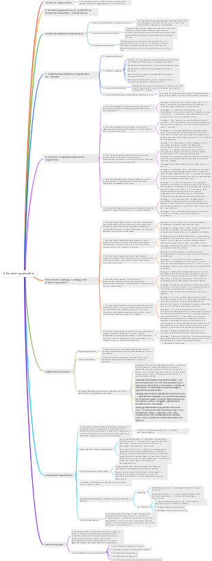 Mappa mentale delle funzioni gestionali-organizzative