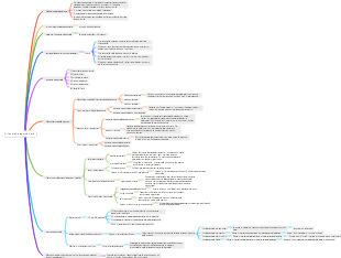 Management 4. Funzione decisionale