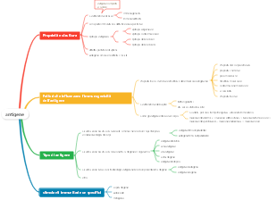 Mappa mentale dell'antigene