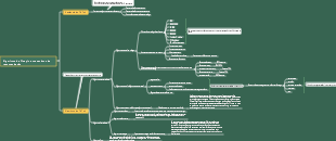 Algoritmo de Douyin e mecanismo de recomendação