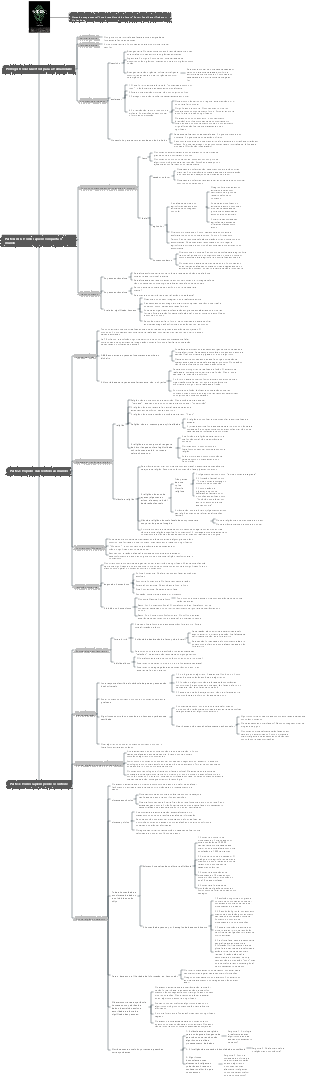 Notas do mapa mental Uma breve história do futuro