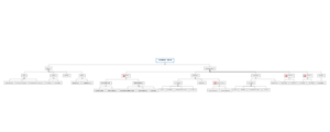 Classification Structure of Updating Status