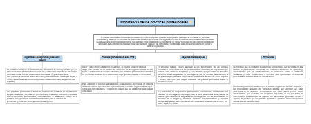 IMPORTANCIA DE LAS PRACTICAS PROFESIONALES