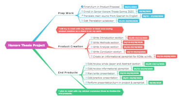 honors thesis project