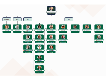 Starbucks Organization Chart