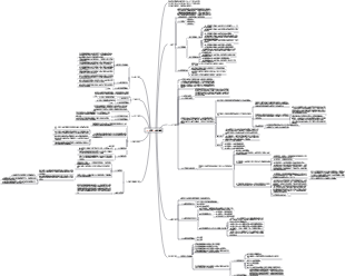 神經系統心智圖