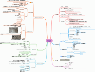 植物遺傳學第二章 遺傳細胞與分子基礎