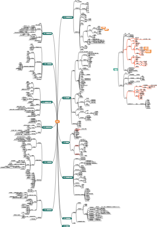 醫學-口腔學心智圖