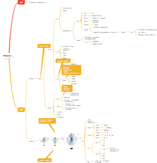 動物醫學-呼吸系統思維導圖