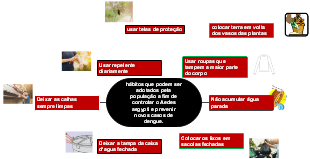 Controlar o Aedes aegypti e prevenir a nova dengue
