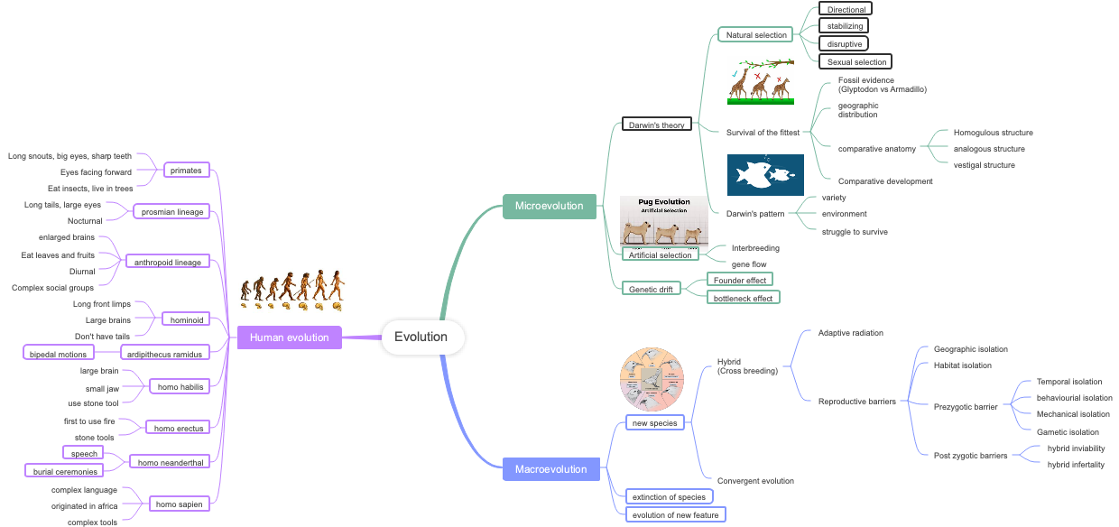 evolution