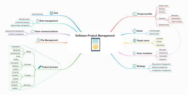 software project management