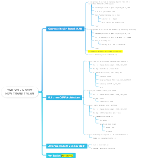 tmg vdi-insert new transit vlan