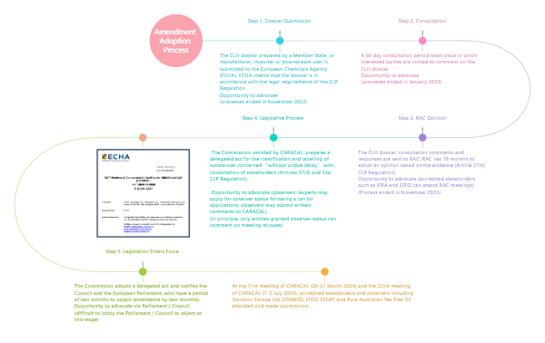 amendment adoption process