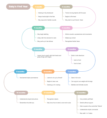 353 - Baby's Fisrt Year Timeline