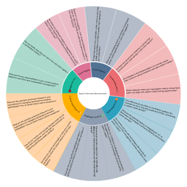 Expert Interview Questionnaire 