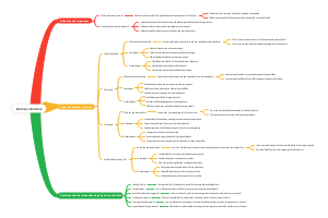 business structure