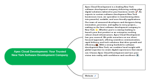 Apex Cloud Development: Your Trusted New York Software Development Company